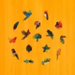 Trópusi arapapagáj fa puzzle 3